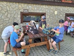 4487805559299755555970608805600936910249443n